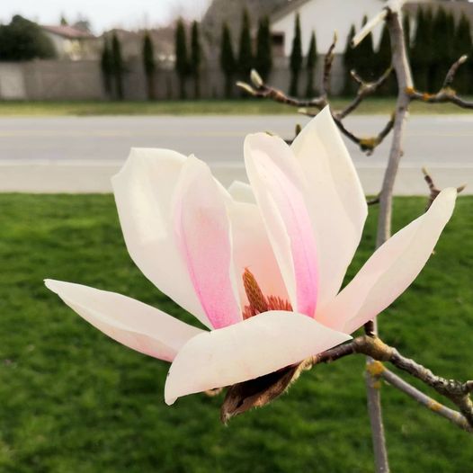 Shannon Shares - July 7, 2021