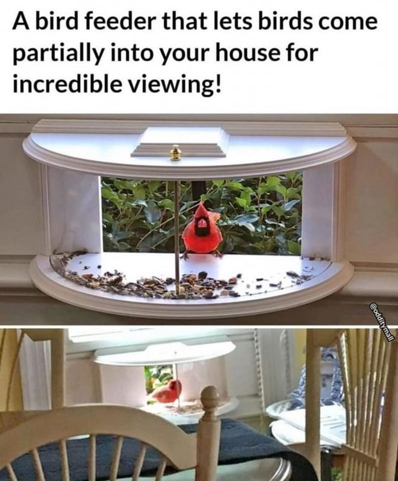 Shannon Shares - May 15, 2024